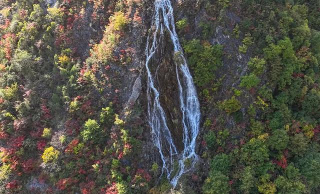 藏在武都的深秋秘境！