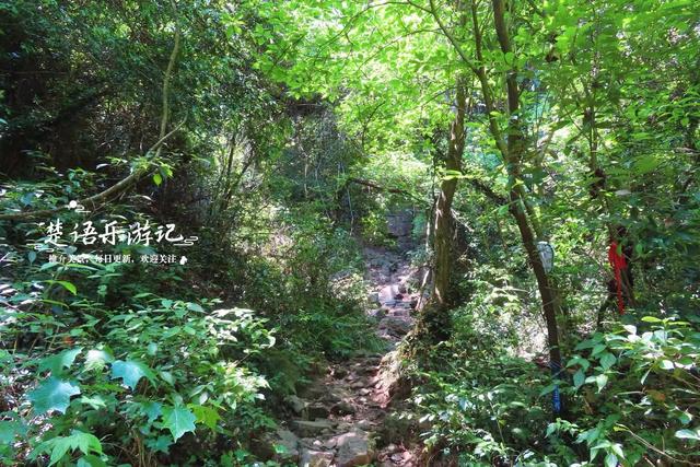 浙江宁波的绝秘幽谷，山石险峻景色绝美，是徒步与观景的绝佳之地