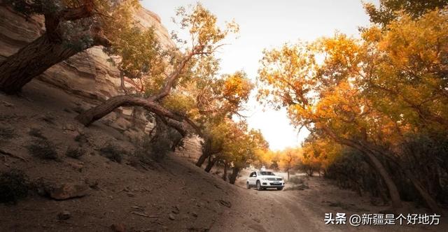 克拉玛依5处小众赏秋地，别只说它「油」了！