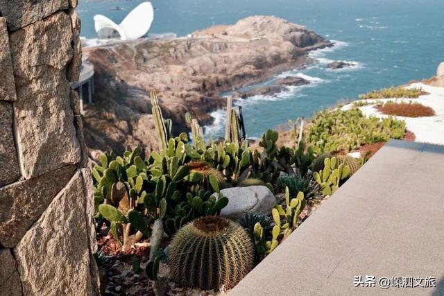 2026年1月3日至2月28日，花鸟岛不收取景区门票啦！