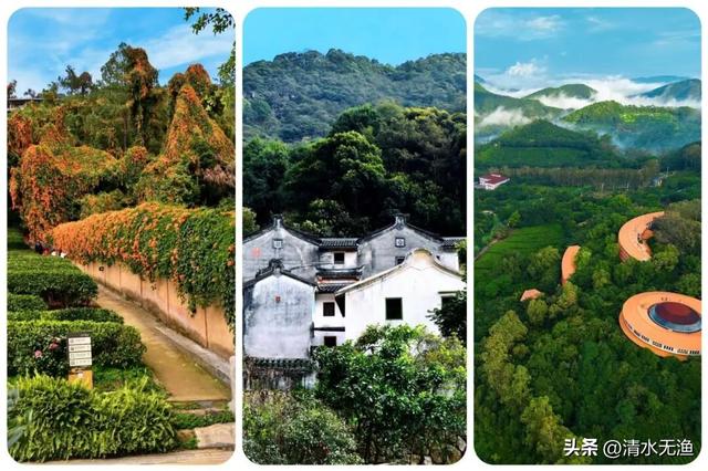 广东与福建江西交界有座城，去之前期望不高，去了直拍大腿来晚了