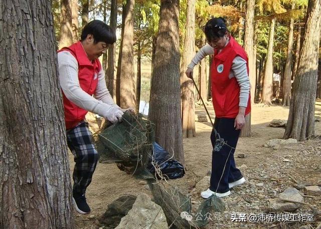 最美水杉林里志愿红