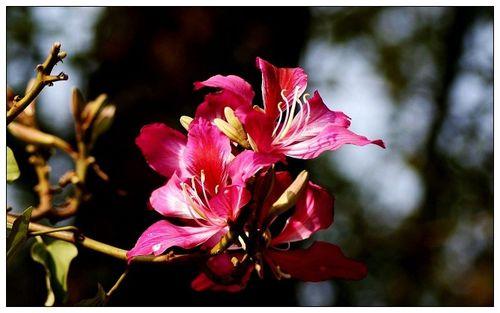 情感爆文《在感情的世界里，懂比爱重要》