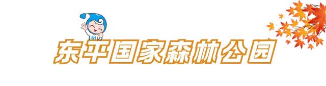体荟四季｜秋日遛娃去哪？答案藏在这5座森林公园里