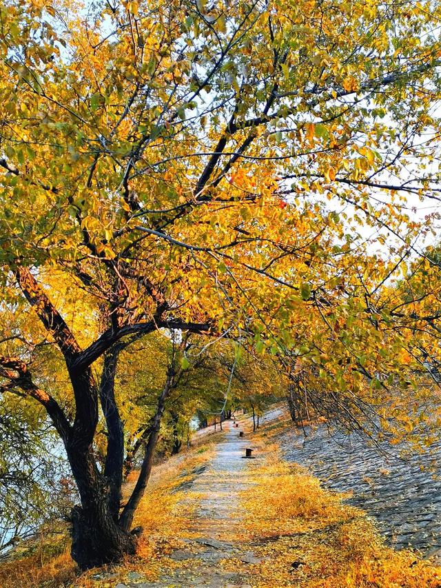 这样的哈尔滨，你见过吗？