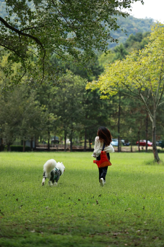 在韶关，带毛孩子去哪“浪”？这份宠物友好地图请收藏，撒欢不踩雷~