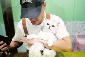 宠物“降温经济”兴起：购置凉席冰垫，带去洗澡，参加泳池派对…降温“凉方”挺多，宠物乐不思“暑”图片