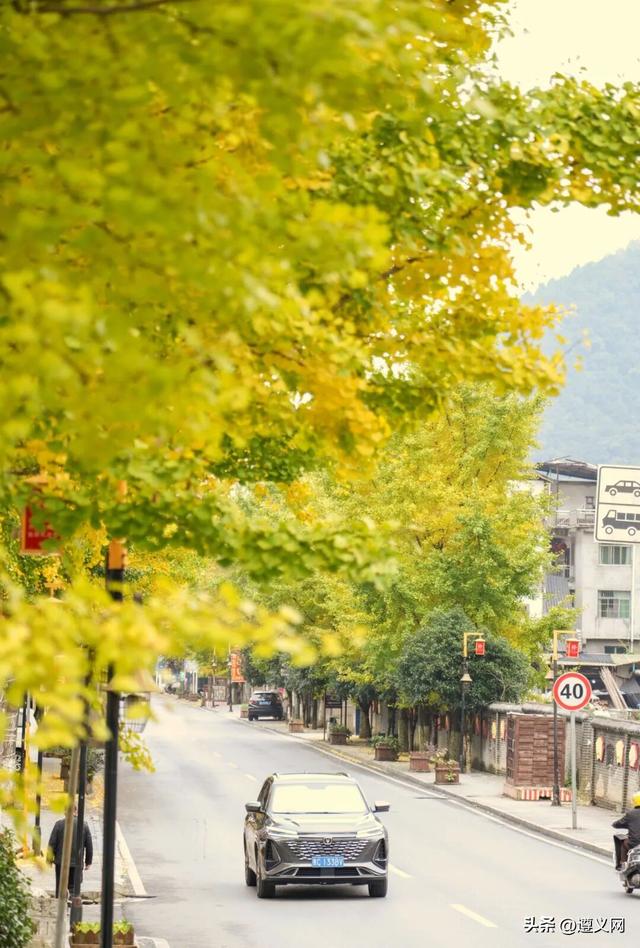 悦·遵义丨是心动呀！遵义，你这么好看！