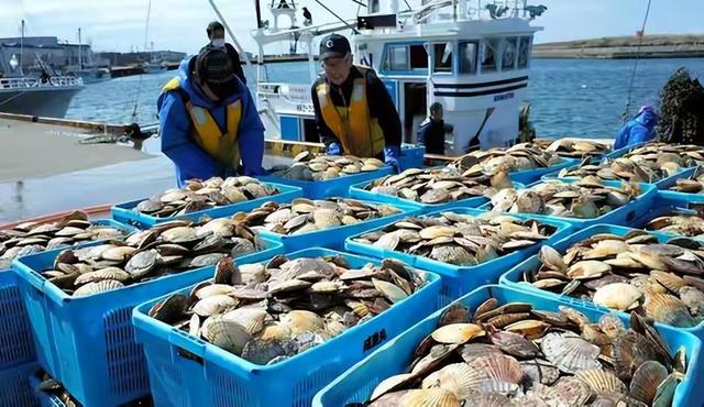 高市还没道歉	，日本要求中国解释双手插兜，中方回应