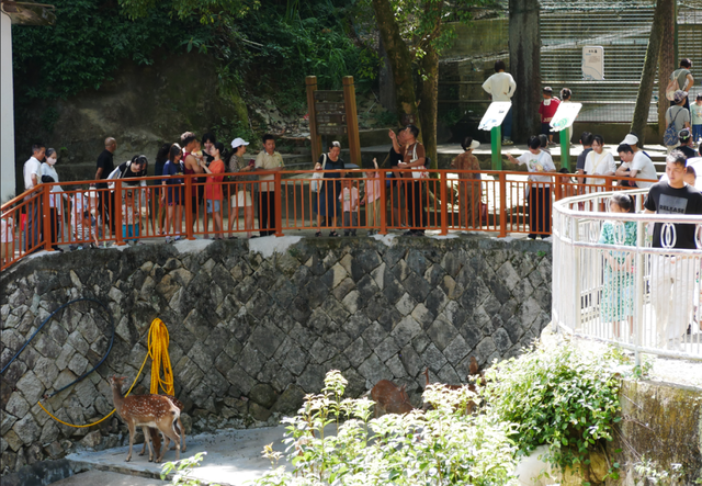 南平九峰山动物园焕新开园
