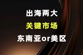 出海两大关键市场，东南亚和美区怎么选？图片