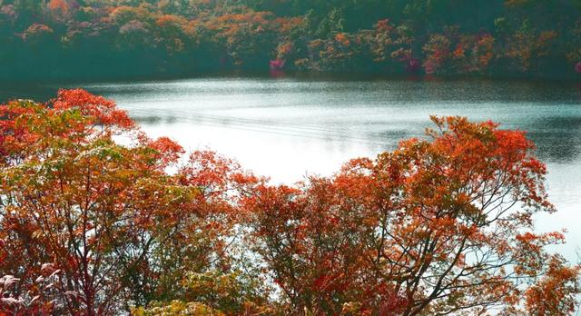 一键收藏!明光南部2025年秋景大赏