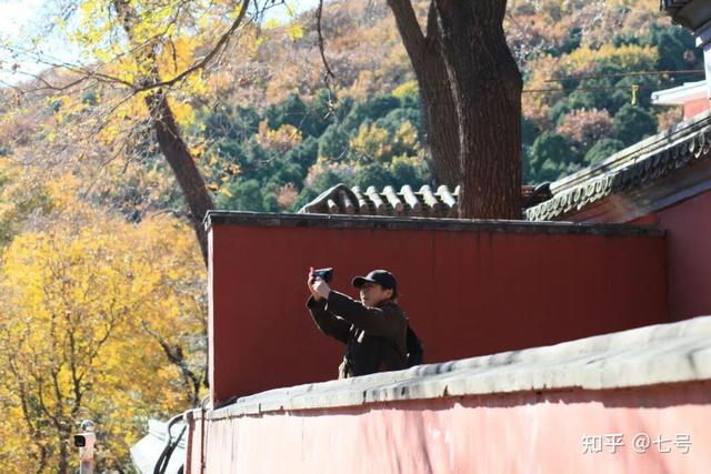 在八大处，寻到了北京最美的秋