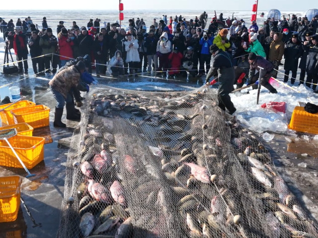 哈素海冬捕节1月10日准时开捕！ 众多好玩好吃的提前知道