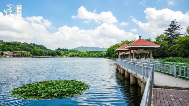 秦淮citywalk｜夏日寻凉之月牙湖