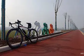 变速自行车的轮胎与气压图片