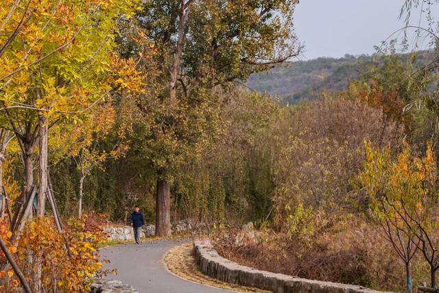 收藏一个秋天，石景山绝美秋色大公开