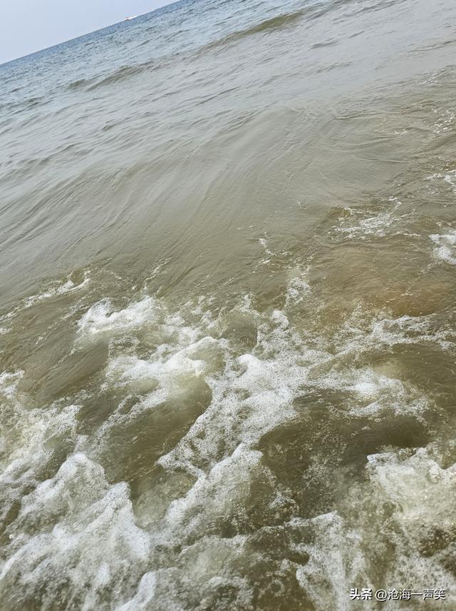 海浪声声，海浪滚滚，海浪阵阵，海浪朵朵，您好大海，您好海浪！