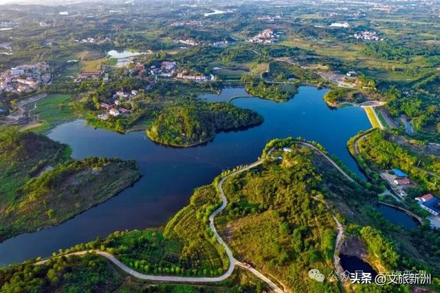 国家3A+1!新洲这个景区“糖分”已超标,有点好嗑,速来!