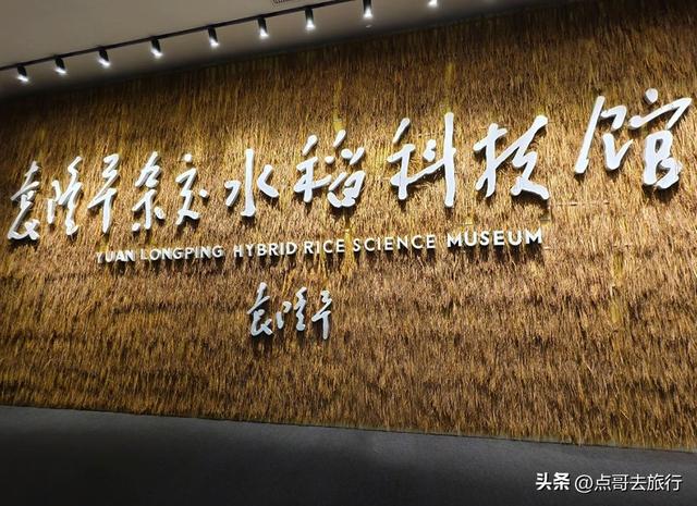成都最美艺术农村，被人称为“成都夏威夷”，不要门票，公交直达