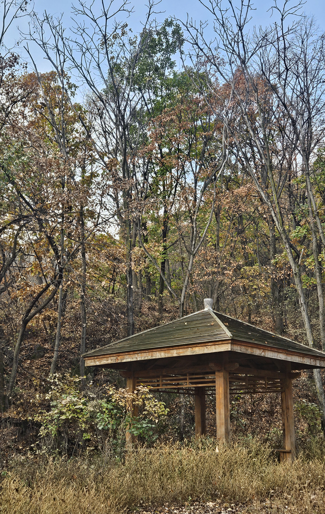 一脚踏进雪与秋的交界处，京郊深山里藏着深秋最温柔的惊喜！​