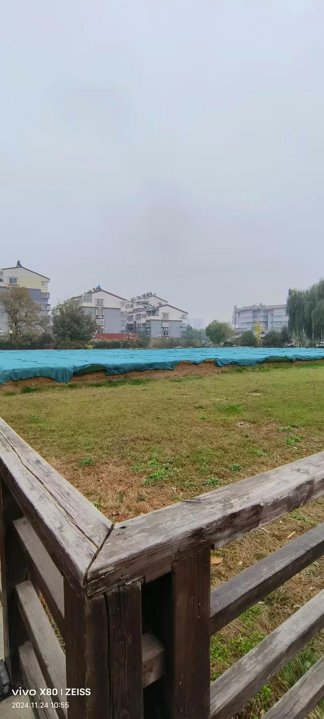 雨中寻洛邑：一座古城的千年回响