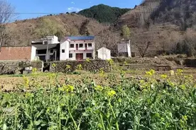 回村过年，我观察了村里42个家庭：不幸福的家庭，都有一个共同点图片