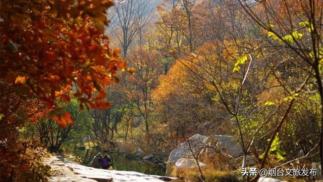 【乐游烟台】正式宣布！下一轮降温前，烟台人该……