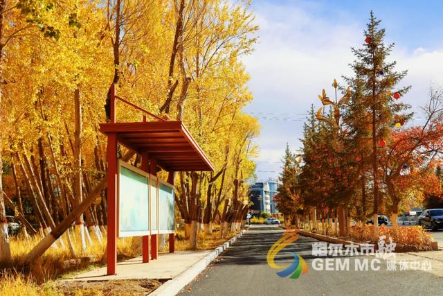 收藏！格尔木秋日美景，这份视觉盛宴千万别错过