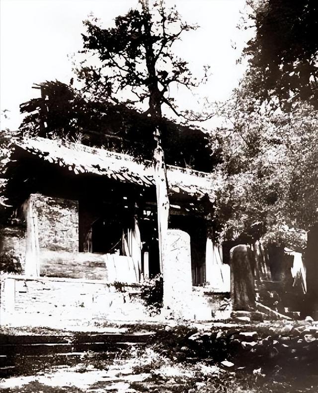 改称呼仅12天，佛教协会对释永信再下重手，这3人的命运从此改变
