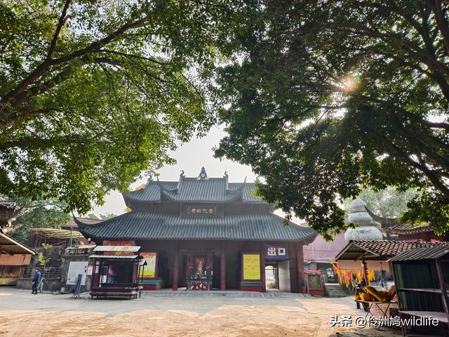 四川行(75)广汉②金雁湖公园·黑塔街·龙居寺