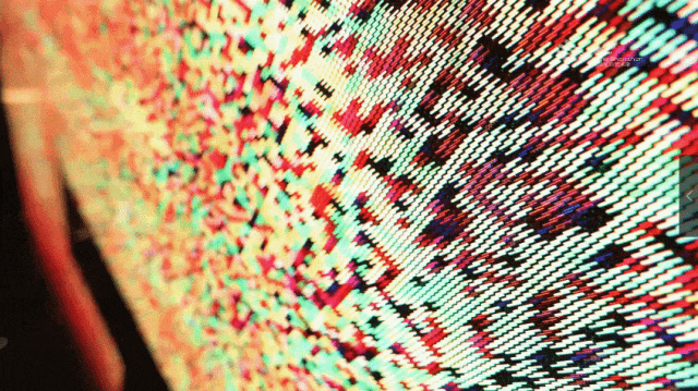 莲花山公园又上新了，现在就冲！