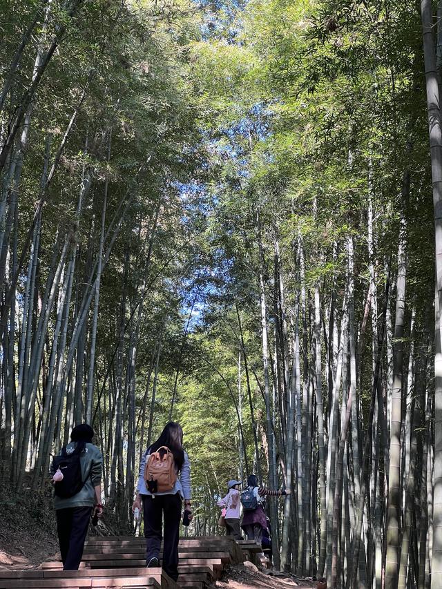 上天竺到云栖竹径，徒步9公里，感受一路秋意。