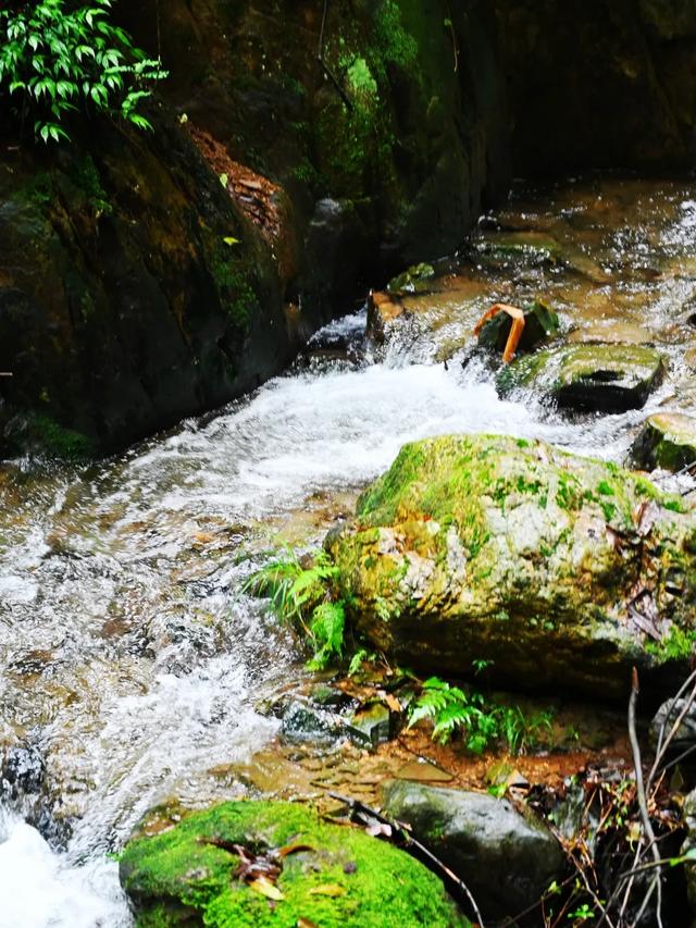 秋冬遛娃“药”新鲜!能吃能玩还能“养”,这条游玩路线一站式拿捏