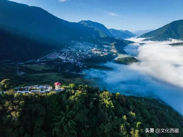 甲子西藏·文旅新章 | 十年蝶变，墨脱绽放旅游富民新画卷