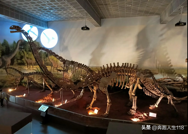 奔向雪域高原，滇藏行一:从钦州到昆明，再到楚雄