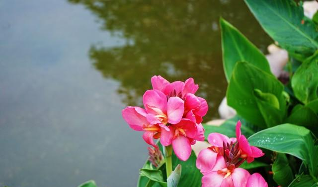 情人走到这一步就是缘分将尽的信号！