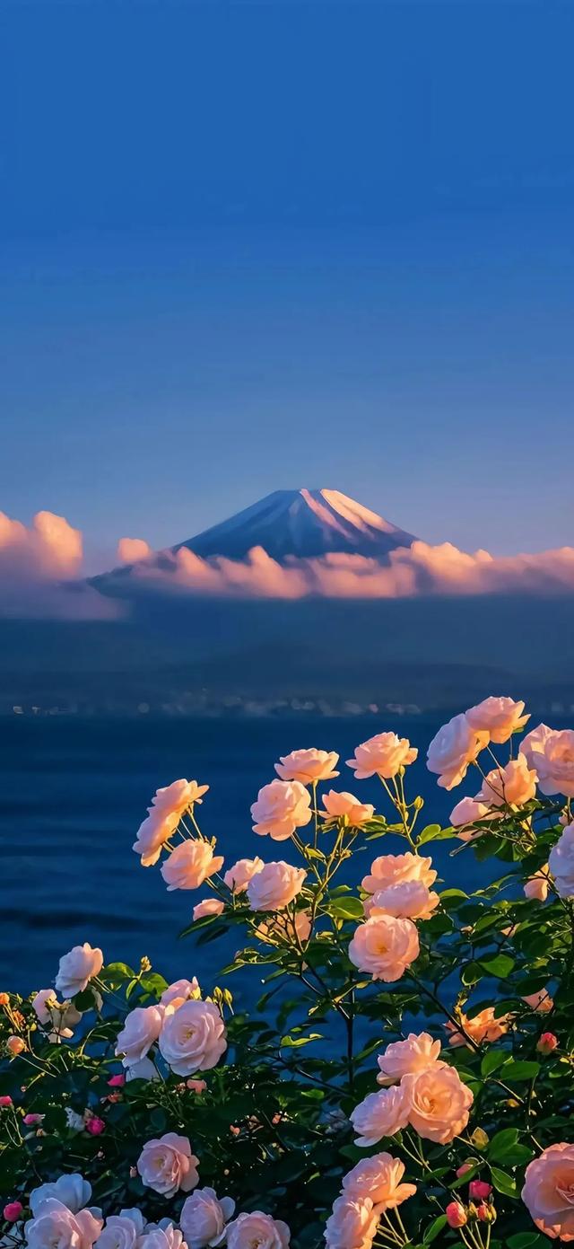 每日壁纸秀-大自然壁纸