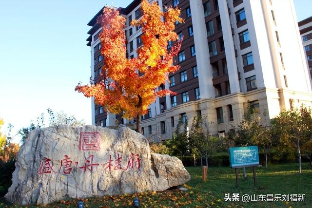 蓝天白云·径去西城拍片