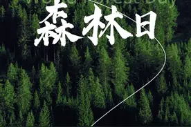 世界森林日丨一起来了解森林相关的名词！图片