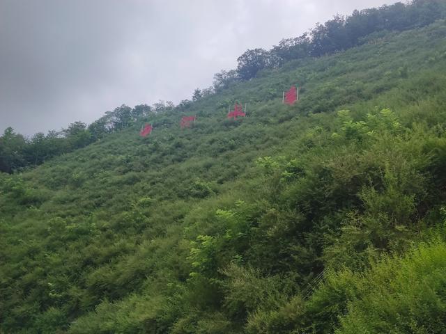 再探安徽金寨乌鸡河，一睹新建的中河水库真容