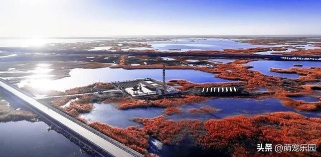 黄昏降临台特玛湖，夕阳沉落芦苇荡，整片水域宛如瑰宝