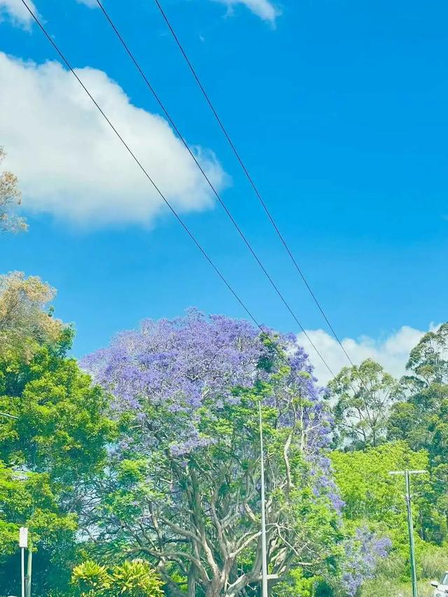 路上·布里斯班 ‖ 又出来赚小时来了