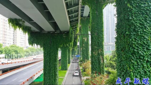 来双桥路站耍个够！