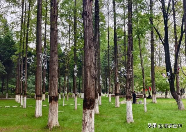 国庆这样玩！茵香河文化旅游区邀您“十一”畅享假期好时光