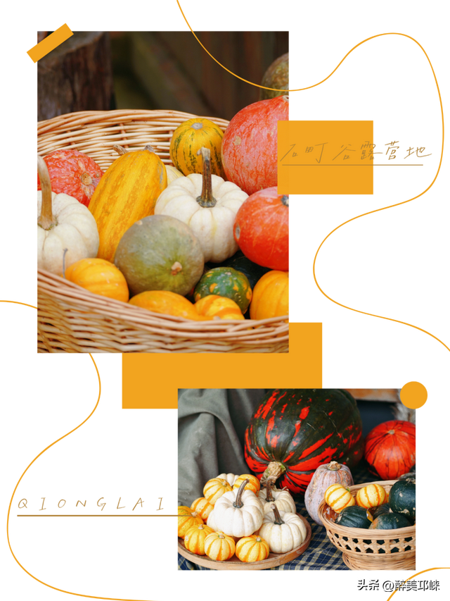 听劝！深秋一定要来邛崃这个“南瓜”露营地，太出片了！