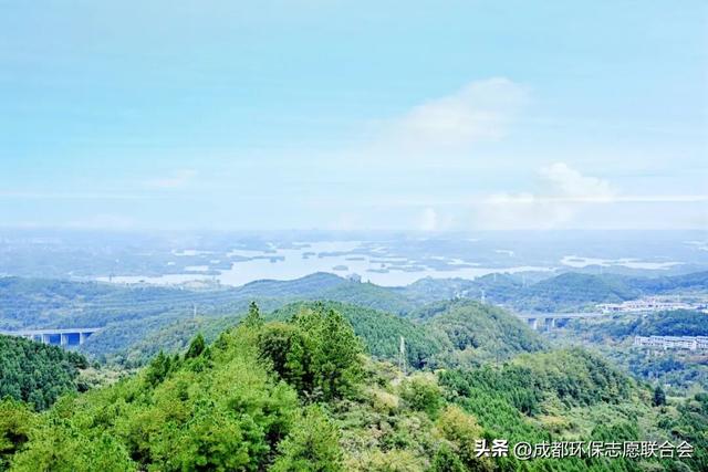 环保志愿 “趣”游蓉城 | 在自然课堂里种下生态保护的“童心种子”