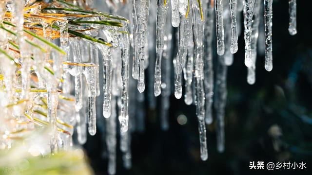 今日大雪，老人说“冷不冷，就看大雪”	，今年冬天是冷冬吗？