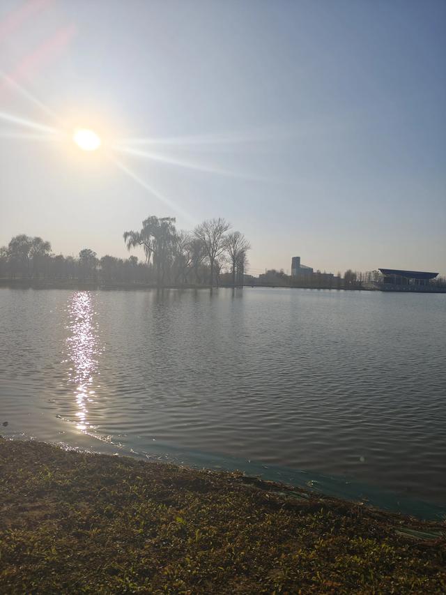 今天的锻炼任务