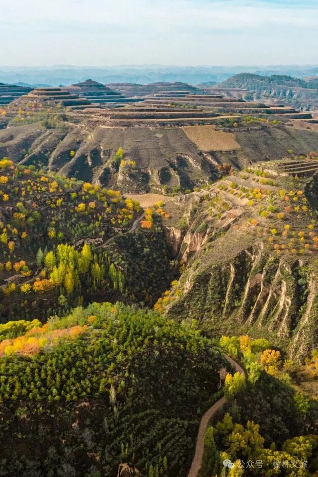 看完《山水间的家》，一人说一个爱上米脂的理由！